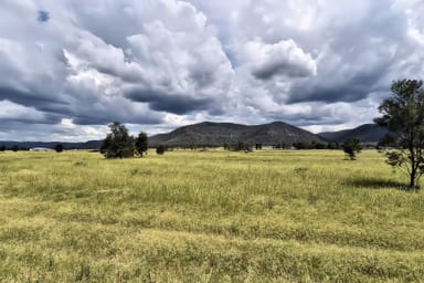 Property Lot 30 Milbrodale Rd, Broke NSW 2330 IMAGE 0