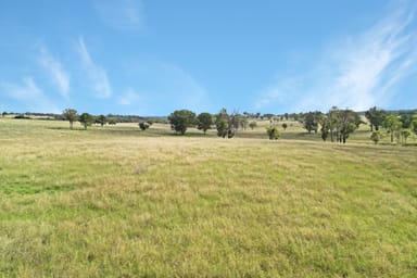 Property 980 Ashford Road, Nullamanna NSW 2360 IMAGE 0