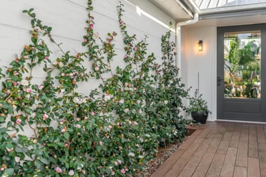 Property 53 Young Road, Moss Vale NSW 2577 IMAGE 0