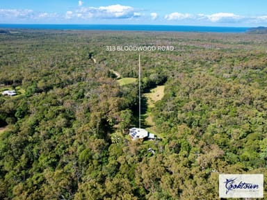 Property 313 Bloodwood Rd, Bloomfield QLD 4895 IMAGE 0