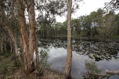 Property Lot 90 Pacific Drive, DEEPWATER QLD 4674 IMAGE 0