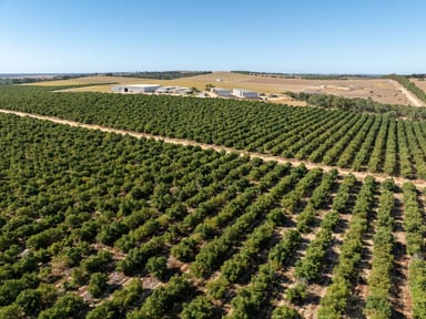 Property Arbusto and Boston Park avocado farms, Sappers Road, Gingin WA 6503 IMAGE 0