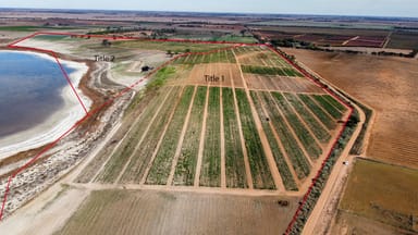 Property 152 White Road, Woorinen North VIC 3589 IMAGE 0