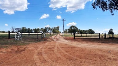 Property "Merrowen Park", 97R Minore Road, MINORE NSW 2830 IMAGE 0