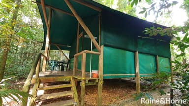 Property 161 Buchanan Creek Road, Cow Bay QLD 4873 IMAGE 0