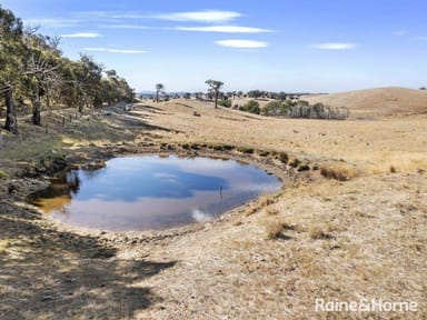 Property 1335 Dairy Flat Road, Tooborac VIC 3522 IMAGE 0