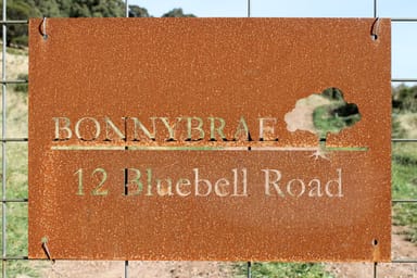 Property 12 Bluebell Road, BRAIDWOOD NSW 2622 IMAGE 0