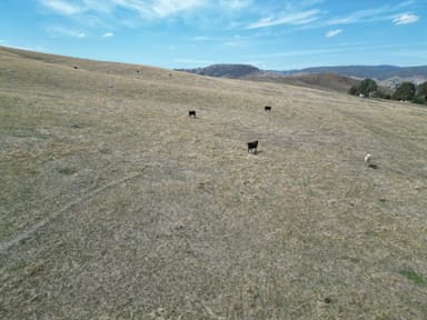 Property LOT 1 Kiewa East Road, Tangambalanga VIC 3691 IMAGE 0