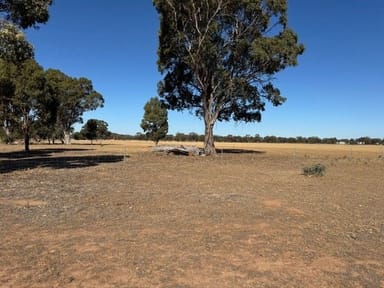 Property CA8B Boort Kurting Road, Kurting VIC 3517 IMAGE 0