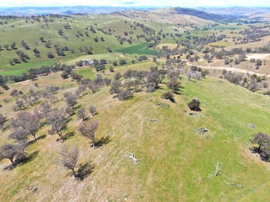 Property 1093 Burra Road, GUNDAGAI NSW 2722 IMAGE 0