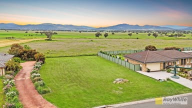 Property 19 Morning View Close, QUIRINDI NSW 2343 IMAGE 0