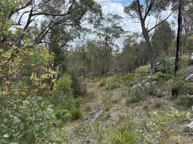 Property Lot 12,13 &amp; 14 Badgery Street, WILLOW VALE NSW 2575 IMAGE 0