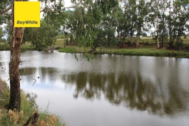 Property Severn Downs,, Ashford NSW 2361 IMAGE 0