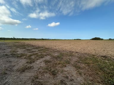 Property Bilyana QLD 4854 IMAGE 0