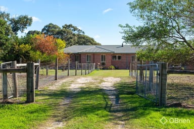 Property 605 Ballarto Road, Skye VIC 3977 IMAGE 0
