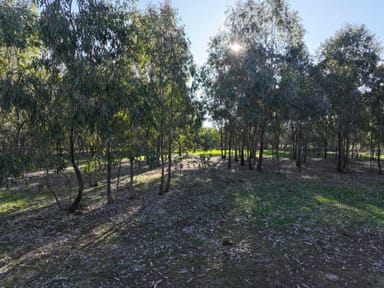 Property Langley Lane, MCINTYRE VIC 3472 IMAGE 0