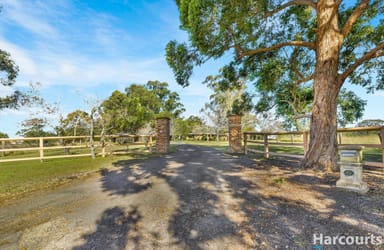 Property 49 Lang Drive, Bolwarra Heights NSW 2320 IMAGE 0