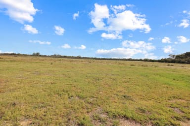 Property 30 Mattner Road, Waikerie SA 5330 IMAGE 0