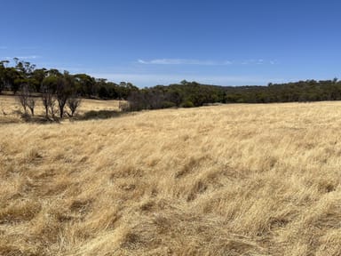 Property Lot 15 Eadine Road, Clackline WA 6564 IMAGE 0