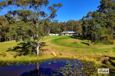Property 811 Newmans Road, Topi Topi NSW 2423 IMAGE 0