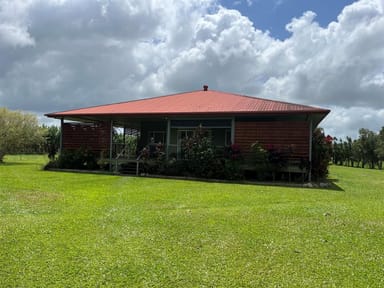 Property 306 SOUTH JOHNSTONE ROAD, Boogan QLD 4871 IMAGE 0