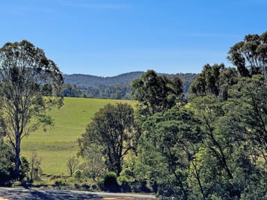 Property 93 Boggy Creek Road, Millingandi NSW 2549 IMAGE 0