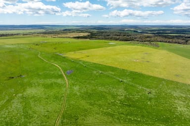 Property . Waterhouse Road, Boobyalla TAS 7264 IMAGE 0