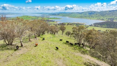 Property 'House' &, 'Bert's Corner' 106 Wises Creek Road, Talgarno VIC 3691 IMAGE 0