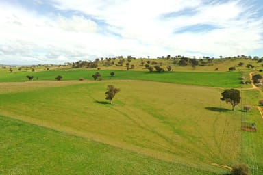 Property Cemetery Road, Murrumburrah NSW 2587 IMAGE 0