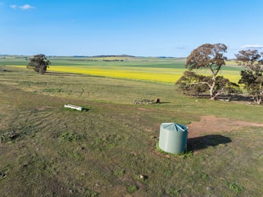 Property Niemz'S' Niemz Road, Emu Downs SA 5381 IMAGE 0