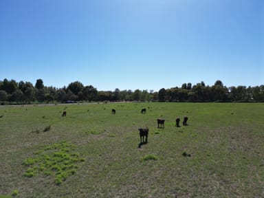 Property 54 Cobrawonga Rd, Cobram East VIC 3644 IMAGE 0