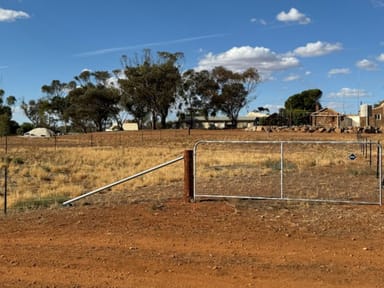 Property 201, West Terrace, Carrieton SA 5432 IMAGE 0