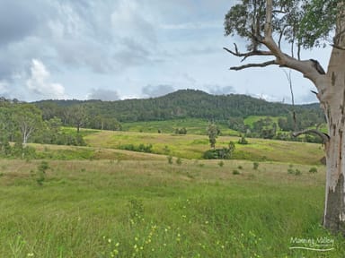 Property 2181 Bulga Road, BOBIN NSW 2429 IMAGE 0
