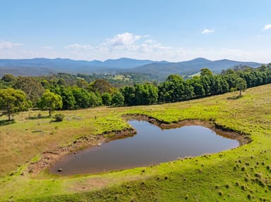 Property 67 Omaru Lane, LOCHIEL Via, Pambula NSW 2549 IMAGE 0