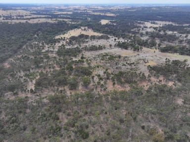 Property Bealiba-Rheola Road, RHEOLA VIC 3517 IMAGE 0