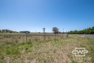 Property 252 Baldersleigh Road, GUYRA NSW 2365 IMAGE 0