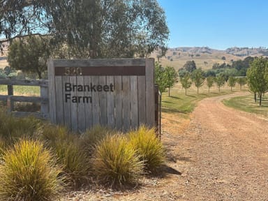 Property 520 Donaldsons Road, Ancona VIC 3715 IMAGE 0