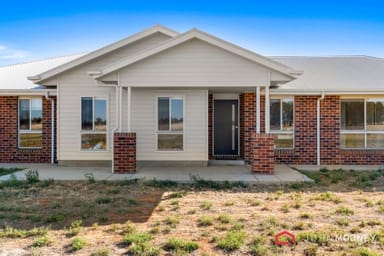 Property 40 Kurrajong Street, Coolamon NSW 2701 IMAGE 0