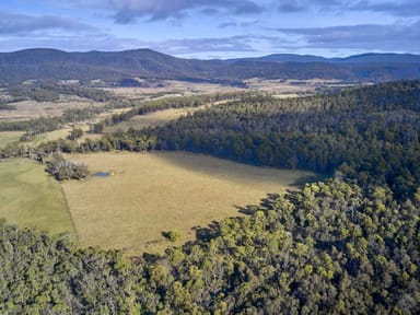 Property Lot 1, 233 Ferndale Road, BICHENO TAS 7215 IMAGE 0