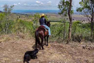 Property Lot 7 Pincott Road, Mount Colliery QLD 4370 IMAGE 0