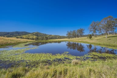 Property 659 Bakers Creek Road, GLOUCESTER NSW 2422 IMAGE 0