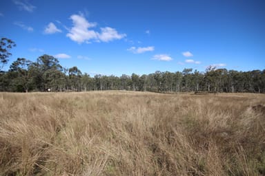 Property Lots 3, 11 & N Monogorilby Road, MONOGORILBY QLD 4626 IMAGE 0