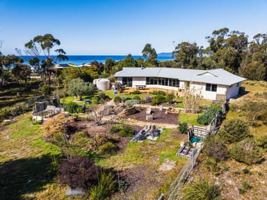 Property 25 Reedy Road, BEAUMARIS TAS 7215 IMAGE 0