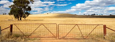 Property 8 Rodgers Road, Yenda NSW 2680 IMAGE 0