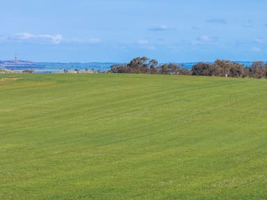 Property Niemz'S' Niemz Road, Emu Downs SA 5381 IMAGE 0