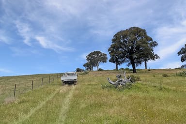 Property Mount Darling Road, Wyangala NSW 2808 IMAGE 0