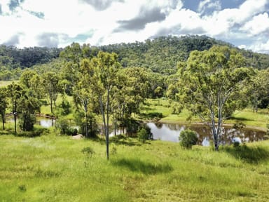 Property 320 Wildman Road, Iveragh QLD 4680 IMAGE 0