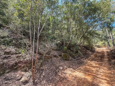 Property Lot 1 Prudence Street, Wollombi NSW 2325 IMAGE 0