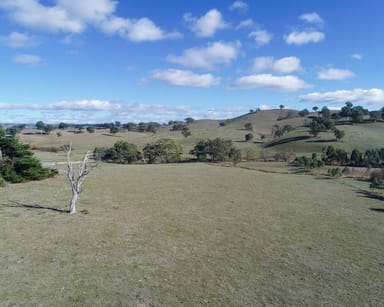 Property 257 Merton-Strathbogie Road, Merton VIC 3722 IMAGE 0