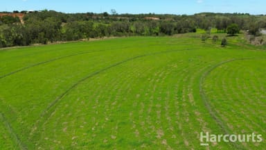 Property 4586 Childers Road, North Isis QLD 4660 IMAGE 0